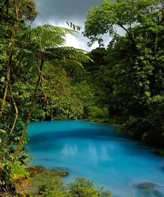 Blue River Resort costa rica