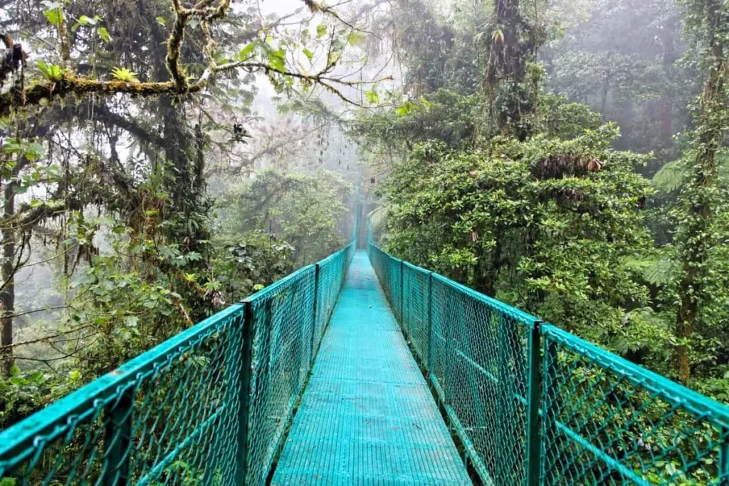 Monteverde- costa rica